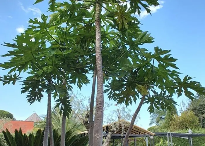 Ristorante La Luna 3* Sarzana